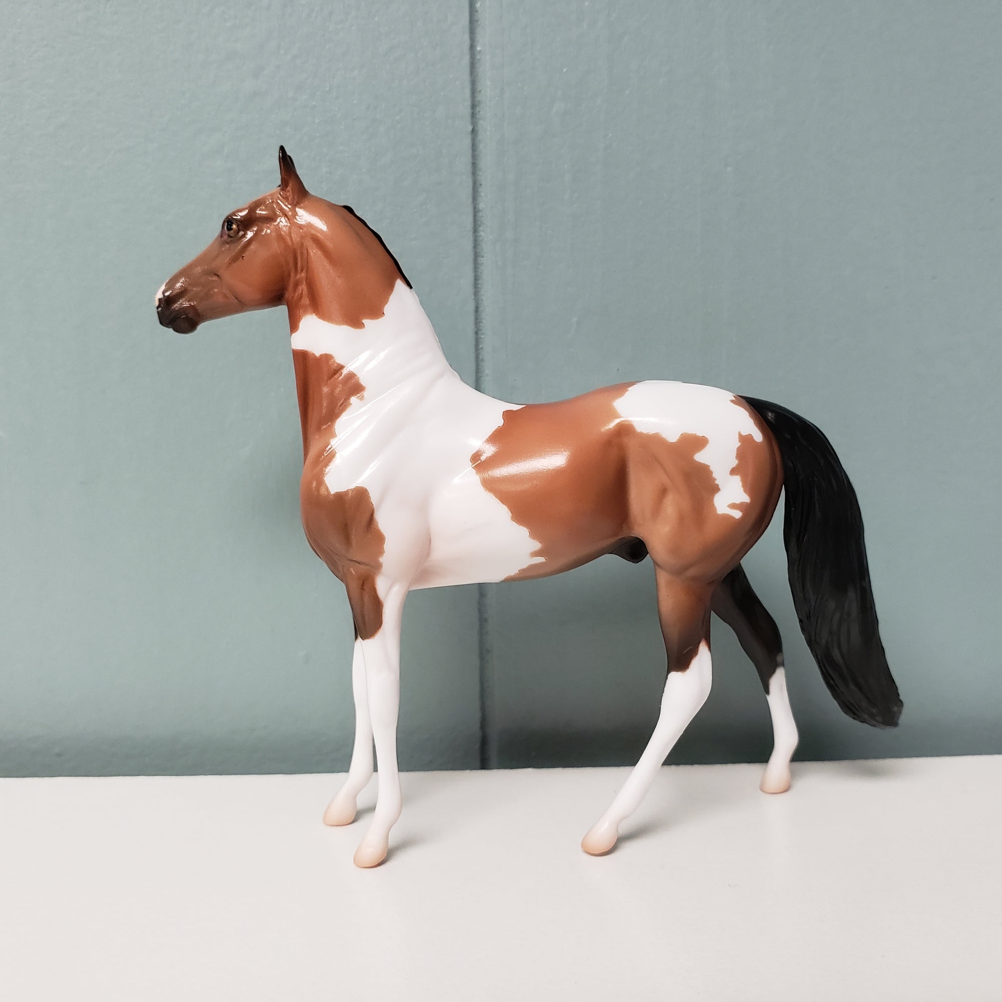 Bookbinder OOAK Bay Morgan Chip By Jess Hamill SAMPLE &amp; OOAK SALE MARCH 2024 SS324