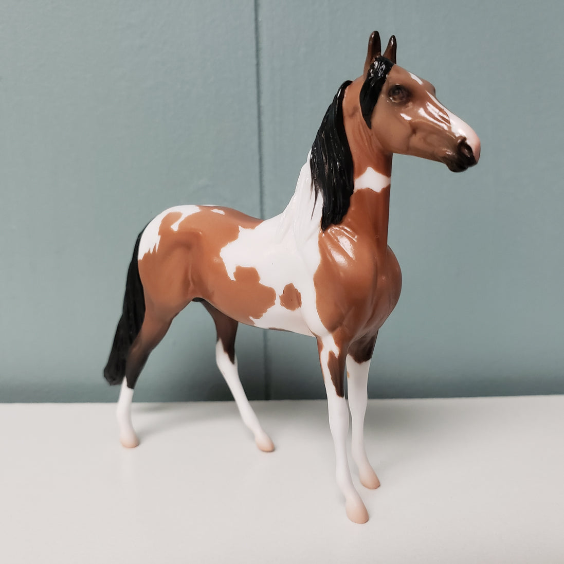 Bookbinder OOAK Bay Morgan Chip By Jess Hamill SAMPLE & OOAK SALE MARCH 2024 SS324