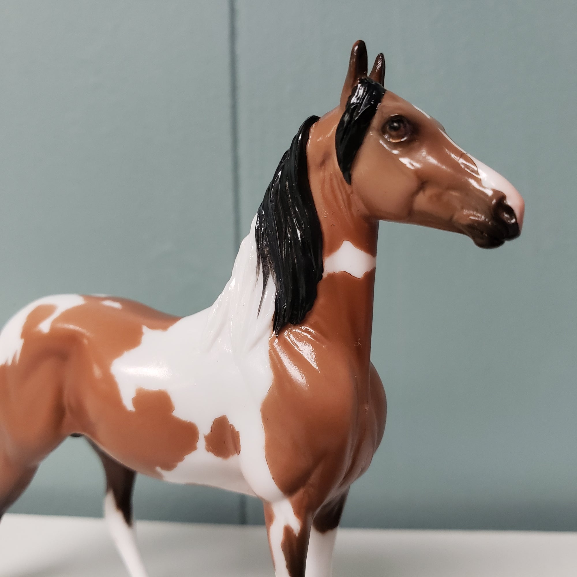 Bookbinder OOAK Bay Morgan Chip By Jess Hamill SAMPLE &amp; OOAK SALE MARCH 2024 SS324