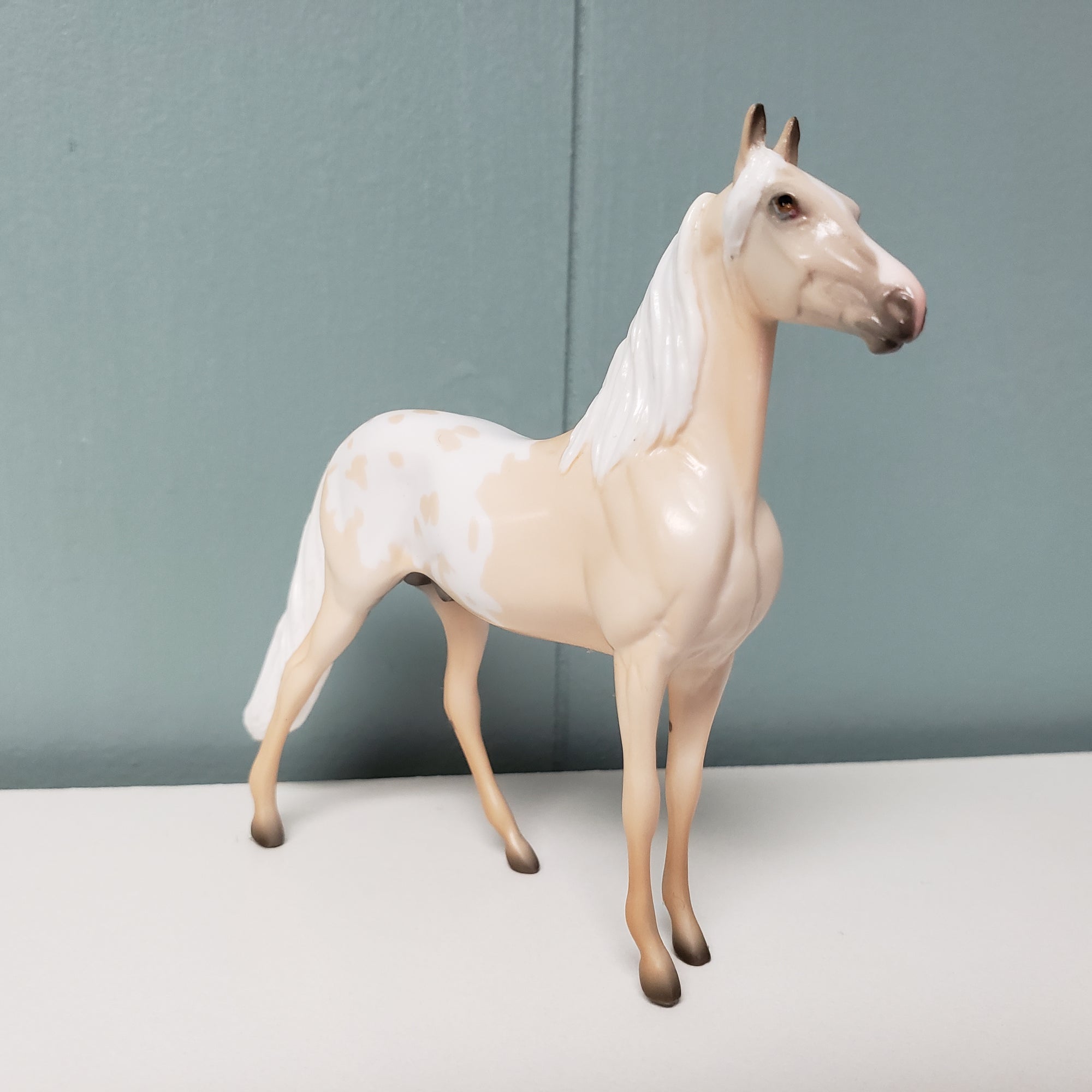 Wheelwright OOAK Palomino Appaloosa Morgan Chip By Jess Hamill SAMPLE &amp; OOAK SALE MARCH 2024 SS324