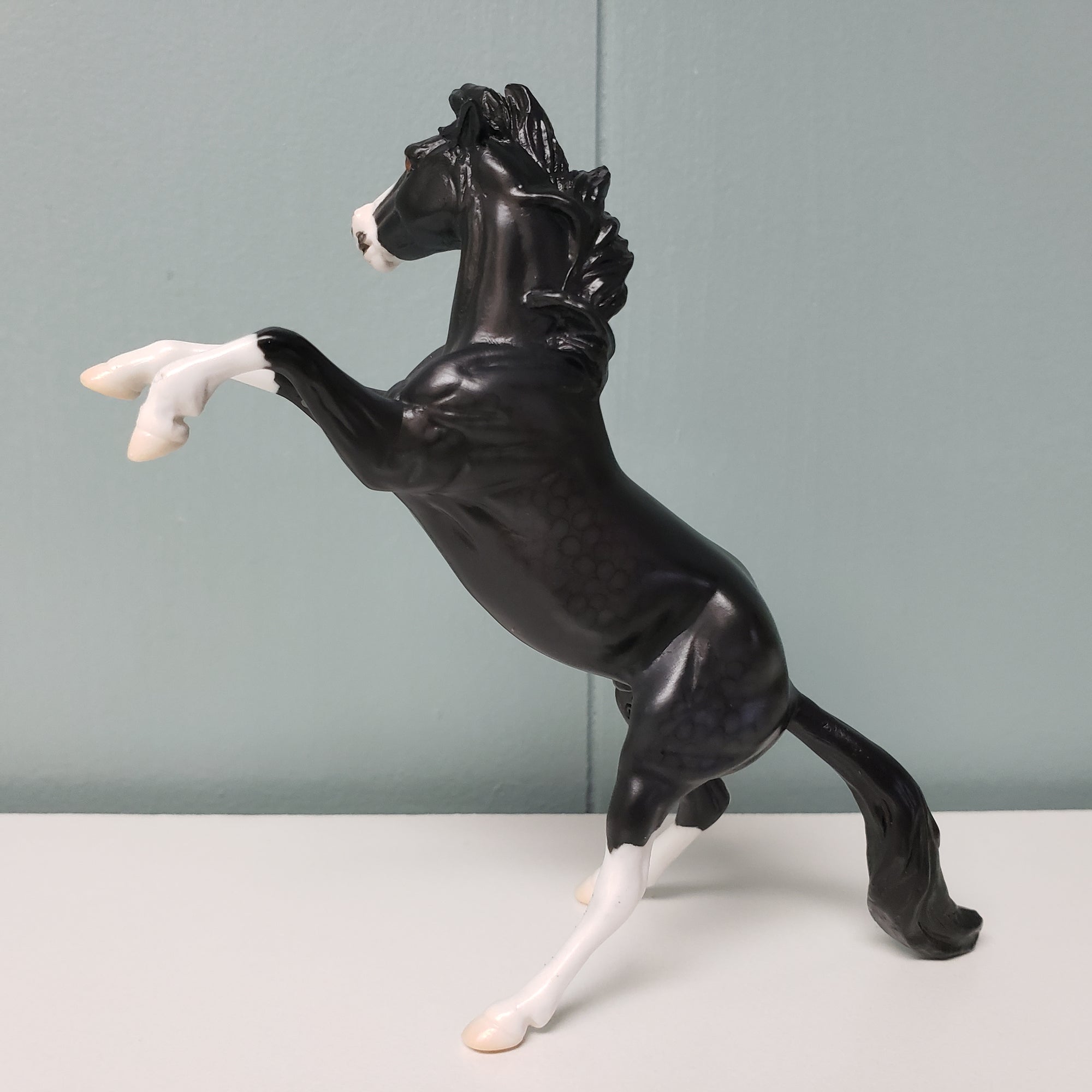 Explorer OOAK Dappled Black Rearing Chip By Jess Hamill SAMPLE &amp; OOAK SALE MARCH 2024 SS324