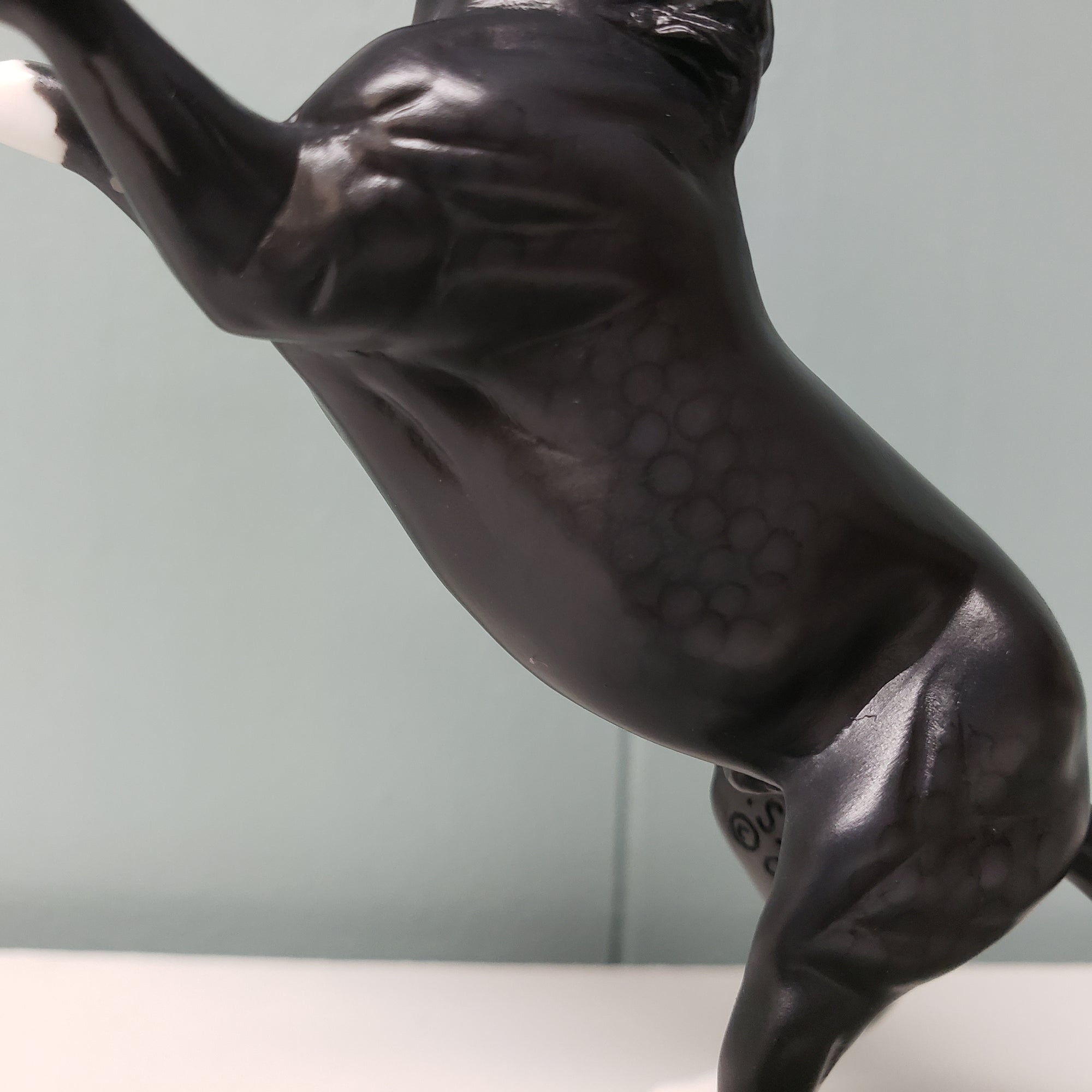 Explorer OOAK Dappled Black Rearing Chip By Jess Hamill SAMPLE &amp; OOAK SALE MARCH 2024 SS324