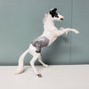 Navigator OOAK Blue Roan Rearing Chip By Jess Hamill SAMPLE &amp; OOAK SALE MARCH 2024 SS324