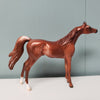 Ranger OOAK Chestnut Rabicano with Etching Arabian Chip By Jess Hamill SAMPLE &amp; OOAK SALE MARCH 2024 SS324