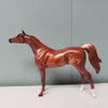 Ranger OOAK Chestnut Rabicano with Etching Arabian Chip By Jess Hamill SAMPLE &amp; OOAK SALE MARCH 2024 SS324