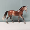 Innkeeper OOAK Dappled Bay Going Grey Warmblood Chip By Jess Hamill SAMPLE &amp; OOAK SALE MARCH 2024 SS324