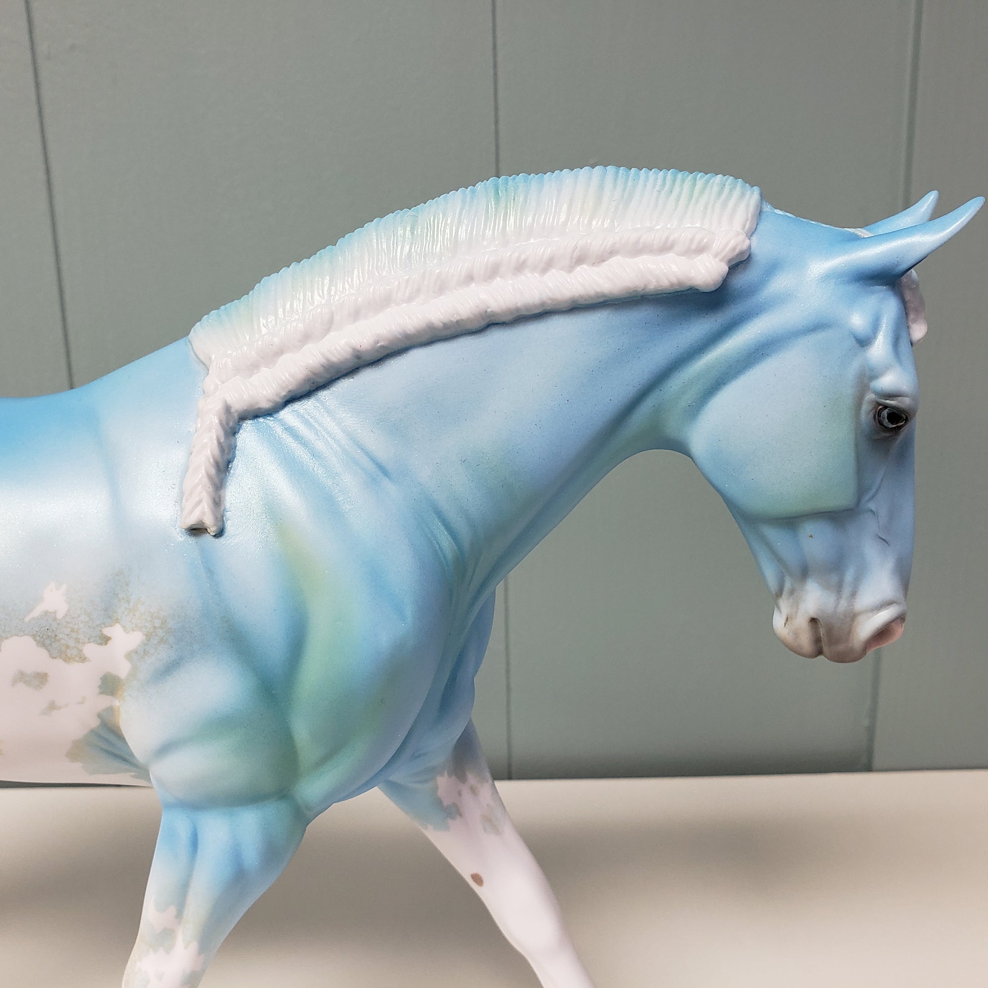 Irish Draught - Loyalty Release Loyalty Club 23/24 (Substituted for Arabian)