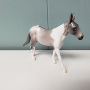 Archivist OOAK Dun Mule Chip By Jess Hamill SAMPLE & OOAK SALE MARCH 2024 SS324