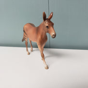 Architect OOAK Chestnut Zorse Mule Chip By Jess Hamill SAMPLE & OOAK SALE MARCH 2024 SS324