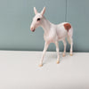 Minstrel OOAK Grey Dun Mule Chip By Jess Hamill SAMPLE &amp; OOAK SALE MARCH 2024 SS324