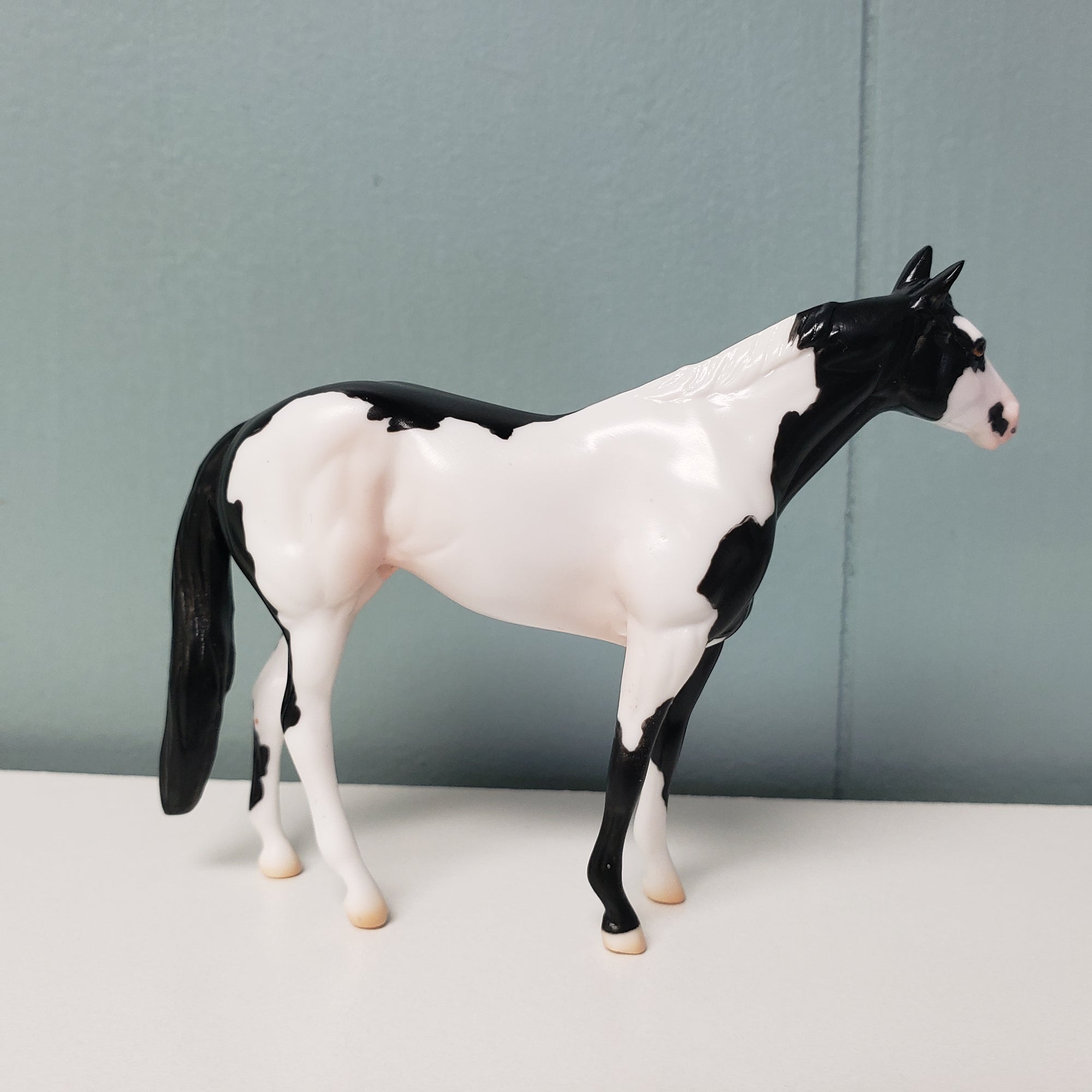 Playwright OOAK Black Overo Stock Chip By Jess Hamill SAMPLE &amp; OOAK SALE MARCH 2024 SS324