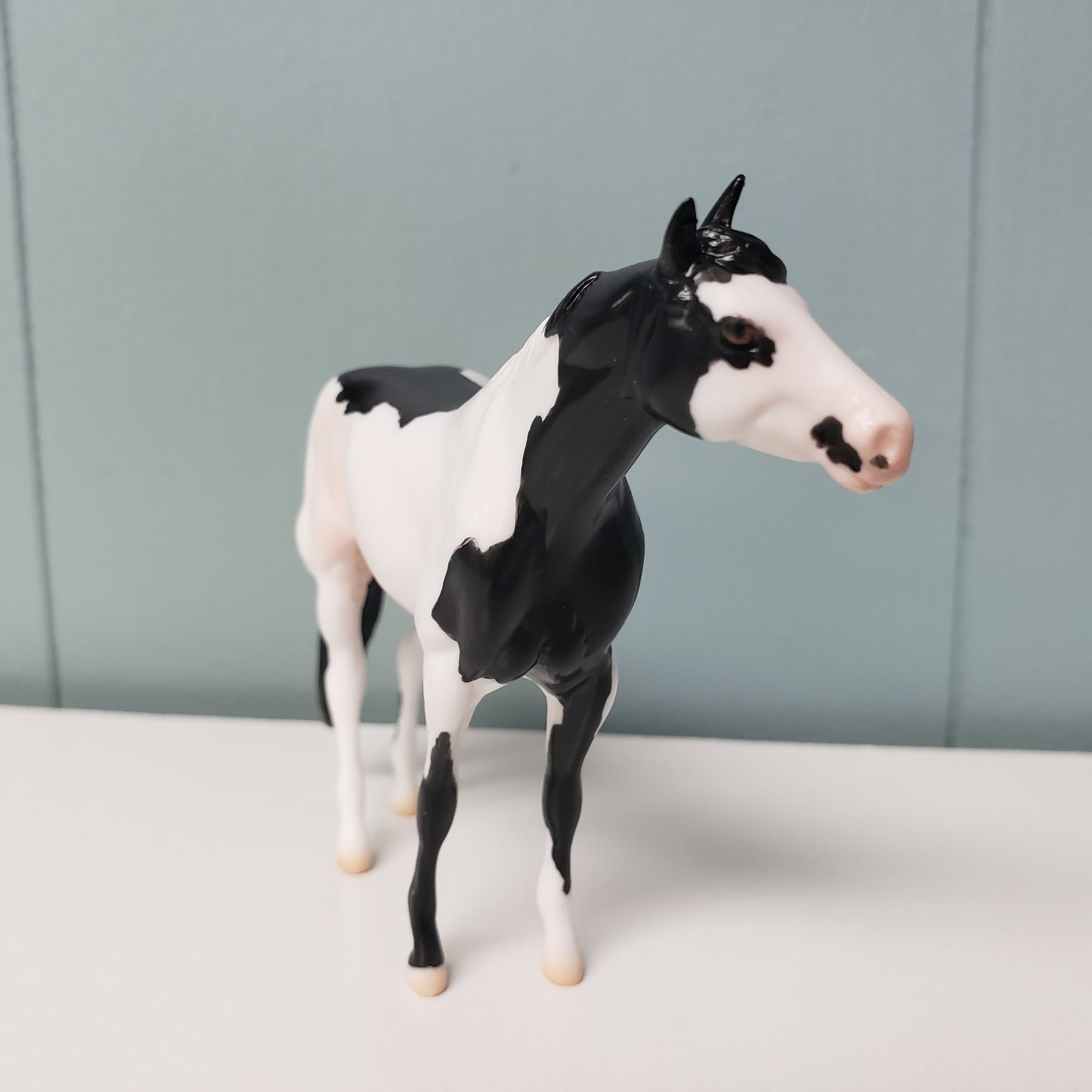 Playwright OOAK Black Overo Stock Chip By Jess Hamill SAMPLE &amp; OOAK SALE MARCH 2024 SS324