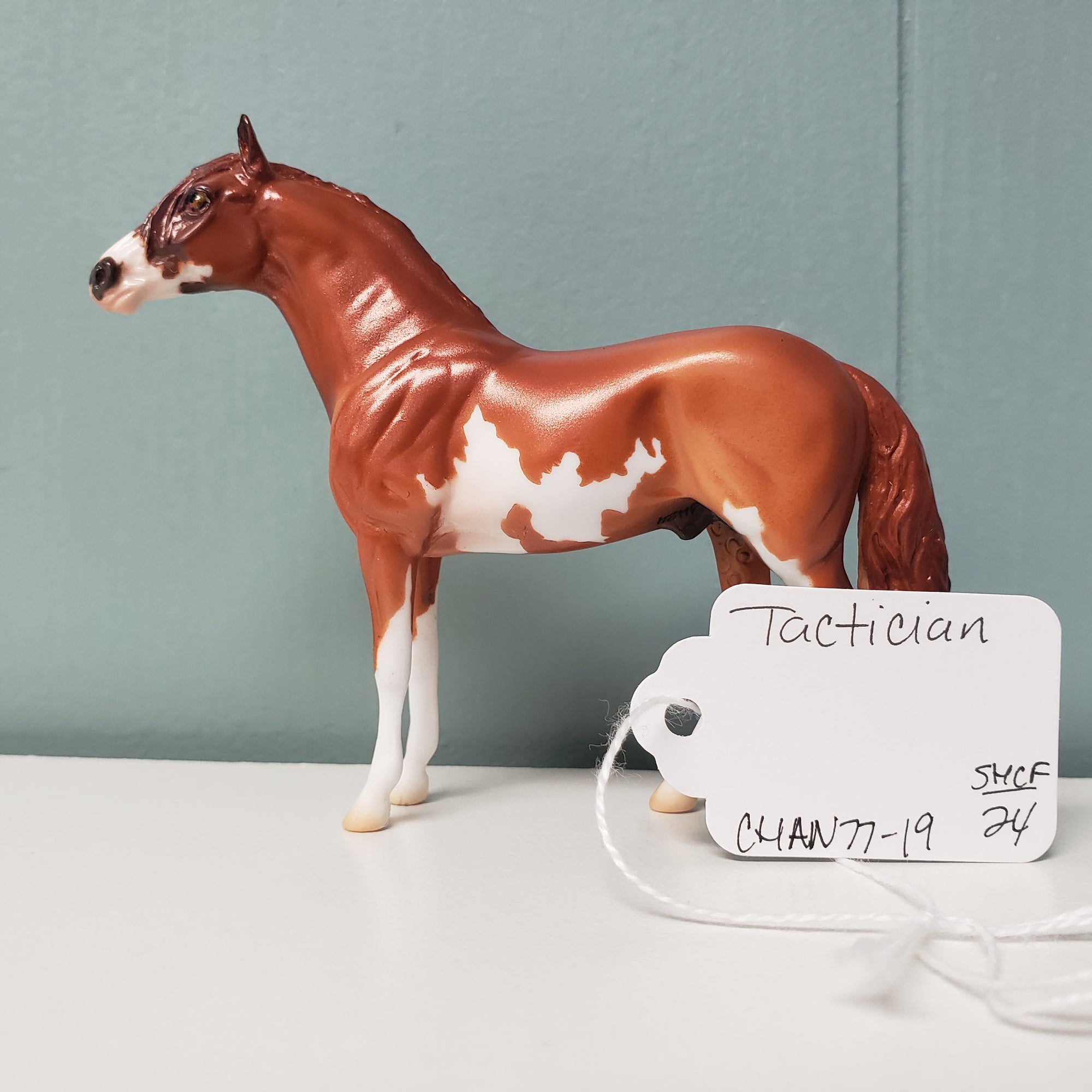 Tactician OOAK Chestnut Andalusian Chip By Jess Hamill SAMPLE &amp; OOAK SALE MARCH 2024 SS324