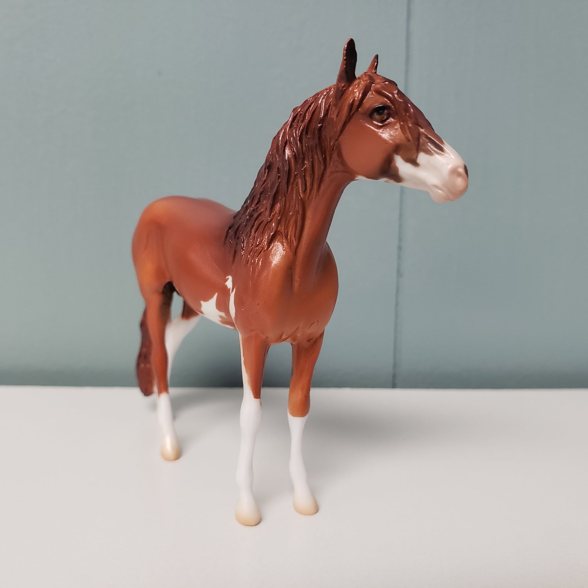 Tactician OOAK Chestnut Andalusian Chip By Jess Hamill SAMPLE &amp; OOAK SALE MARCH 2024 SS324