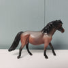 Tradesman OOAK Bay Roan Pony Chip By Jess Hamill SAMPLE &amp; OOAK SALE MARCH 2024 SS324