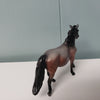 Tradesman OOAK Bay Roan Pony Chip By Jess Hamill SAMPLE &amp; OOAK SALE MARCH 2024 SS324