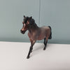 Tradesman OOAK Bay Roan Pony Chip By Jess Hamill SAMPLE &amp; OOAK SALE MARCH 2024 SS324