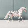 Stone Mason OOAK Appaloosa Pony Chip By Jess Hamill SAMPLE &amp; OOAK SALE MARCH 2024 SS324