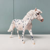 Stone Mason OOAK Appaloosa Pony Chip By Jess Hamill SAMPLE &amp; OOAK SALE MARCH 2024 SS324