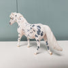 Stone Mason OOAK Appaloosa Pony Chip By Jess Hamill SAMPLE &amp; OOAK SALE MARCH 2024 SS324