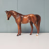 Niamh OOAK Chestnut Sabino Arab Mare By Kristen Cermele SAMPLE &amp; OOAK SALE MARCH 2024 SS324