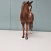 Niamh OOAK Chestnut Sabino Arab Mare By Kristen Cermele SAMPLE &amp; OOAK SALE MARCH 2024 SS324