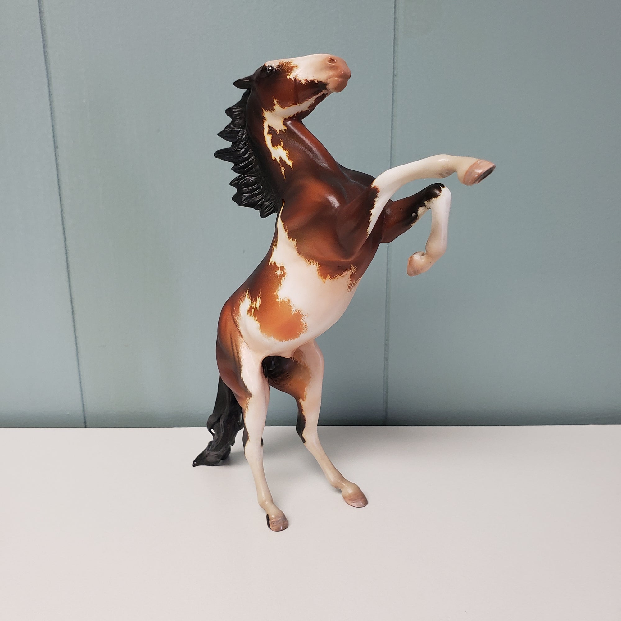 Metis OOAK Bay Pinto Rearing Pebble By Kristen Cermele SAMPLE &amp; OOAK SALE MARCH 2024 SS324