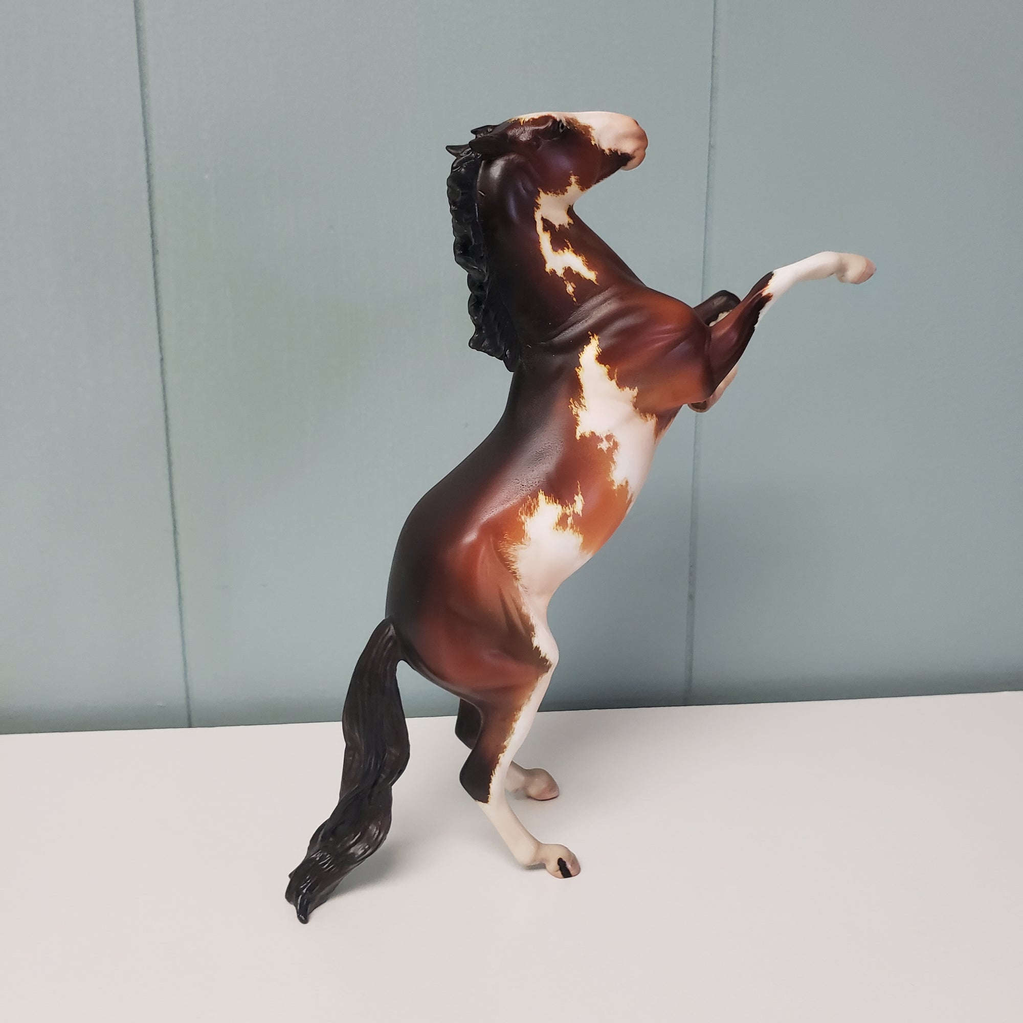 Metis OOAK Bay Pinto Rearing Pebble By Kristen Cermele SAMPLE &amp; OOAK SALE MARCH 2024 SS324