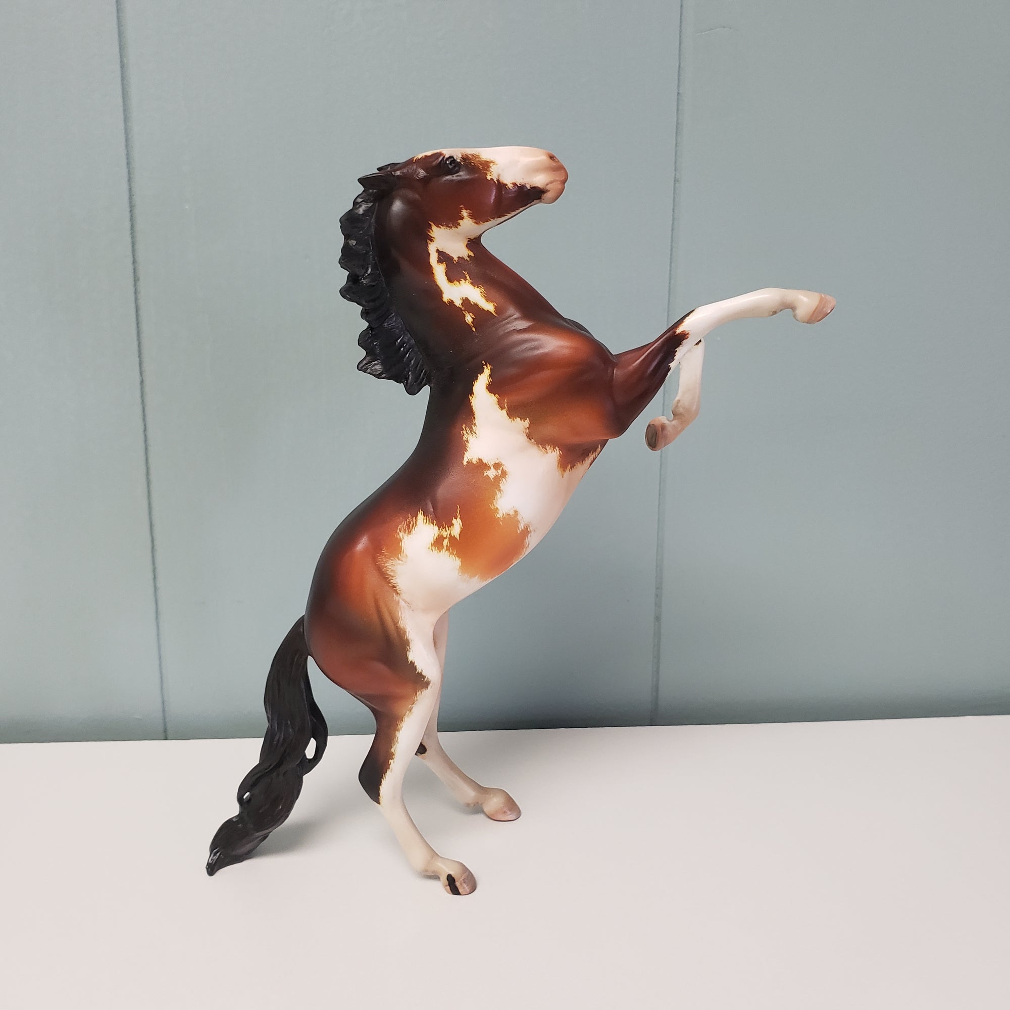 Metis OOAK Bay Pinto Rearing Pebble By Kristen Cermele SAMPLE &amp; OOAK SALE MARCH 2024 SS324