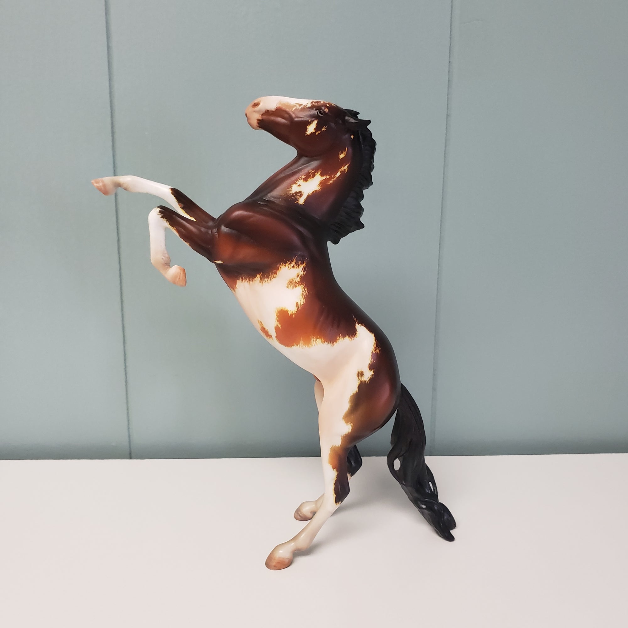 Metis OOAK Bay Pinto Rearing Pebble By Kristen Cermele SAMPLE &amp; OOAK SALE MARCH 2024 SS324