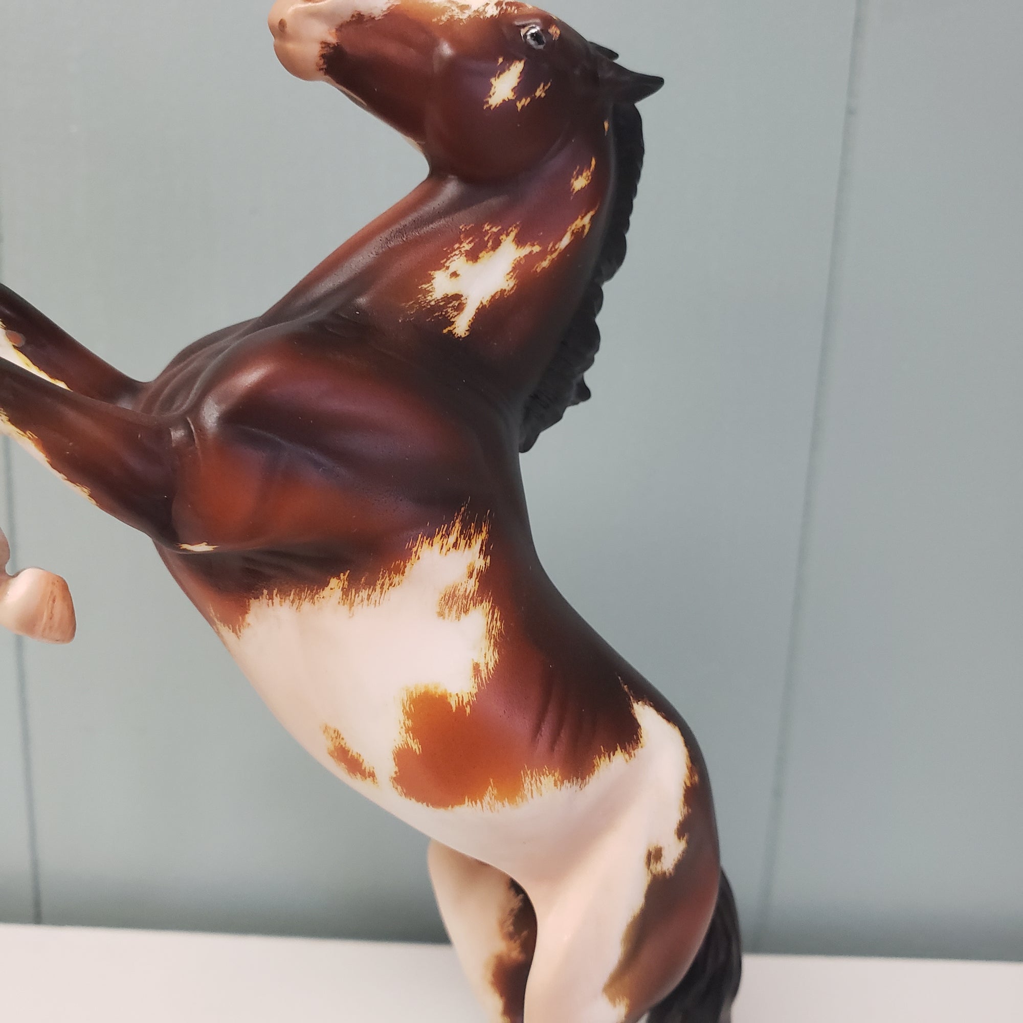 Metis OOAK Bay Pinto Rearing Pebble By Kristen Cermele SAMPLE &amp; OOAK SALE MARCH 2024 SS324