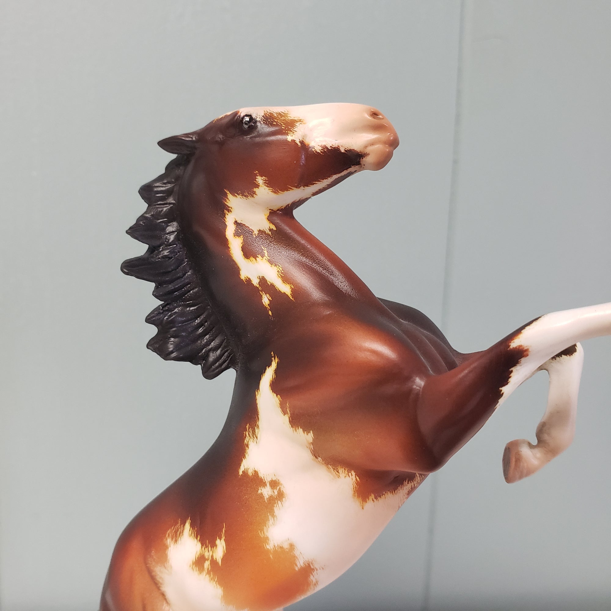 Metis OOAK Bay Pinto Rearing Pebble By Kristen Cermele SAMPLE &amp; OOAK SALE MARCH 2024 SS324