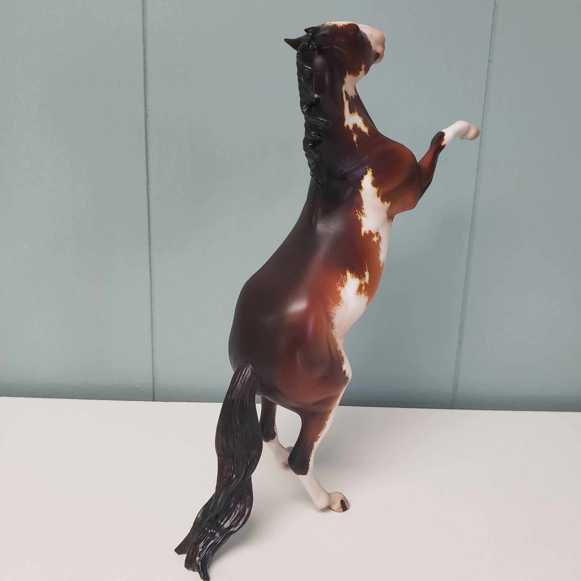 Metis OOAK Bay Pinto Rearing Pebble By Kristen Cermele SAMPLE &amp; OOAK SALE MARCH 2024 SS324