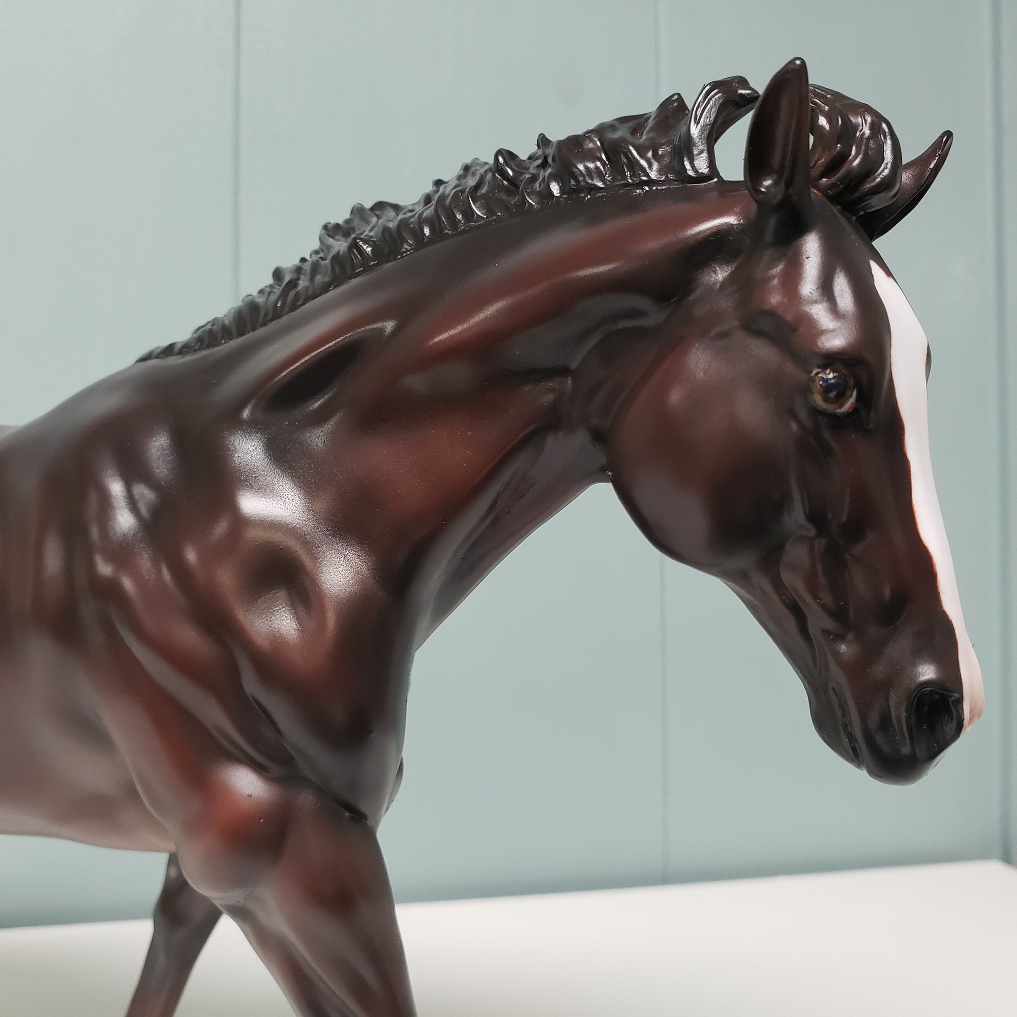 Red Hot Color - LE-20 SHCF Guest Horse Portrait Run - Dark Chestnut Running Stock Horse By Jess Hamill- SHCF24