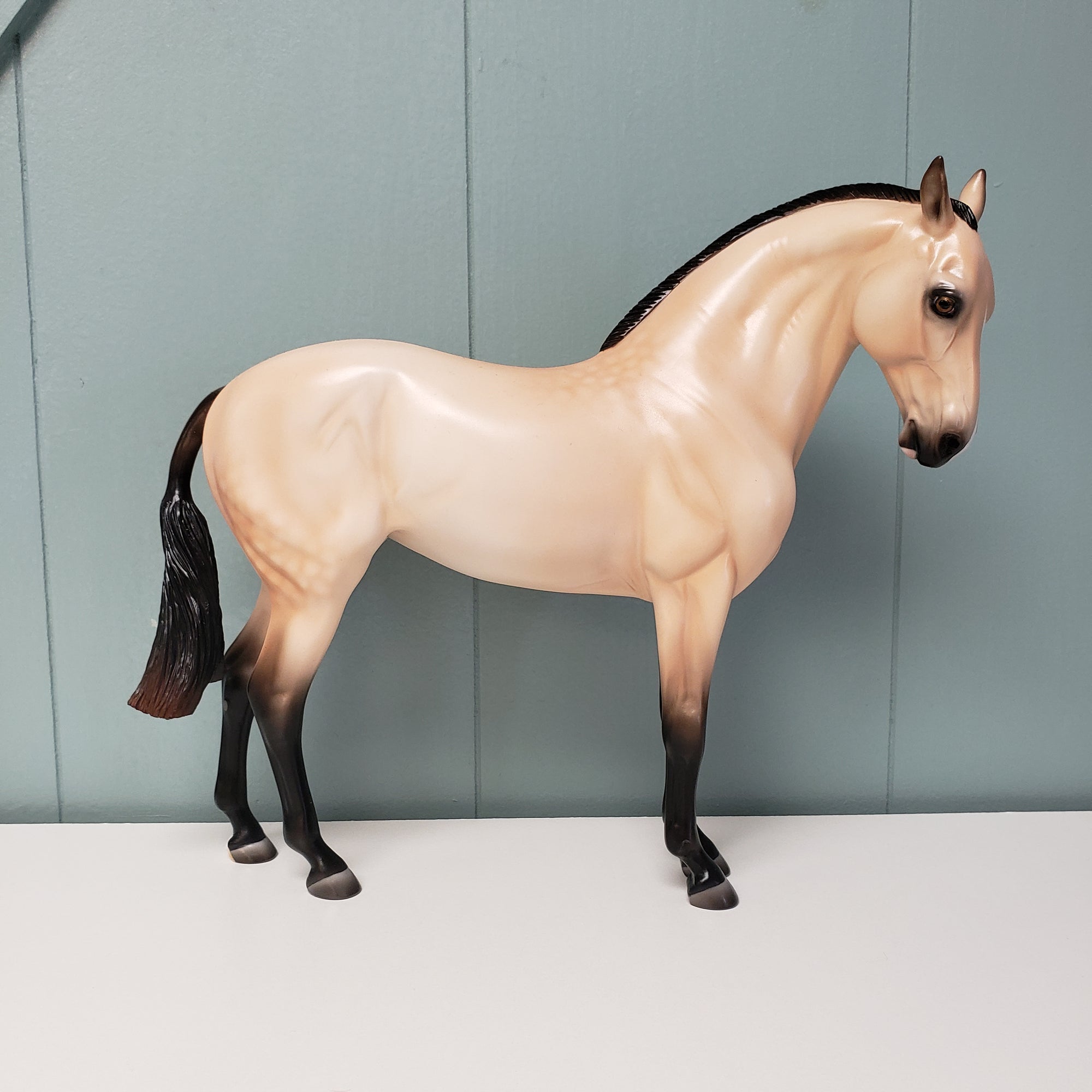 SAMPLE Metanoia Custom Dappled Buckskin Andalusian Mare By Ashley Palmer SS1024