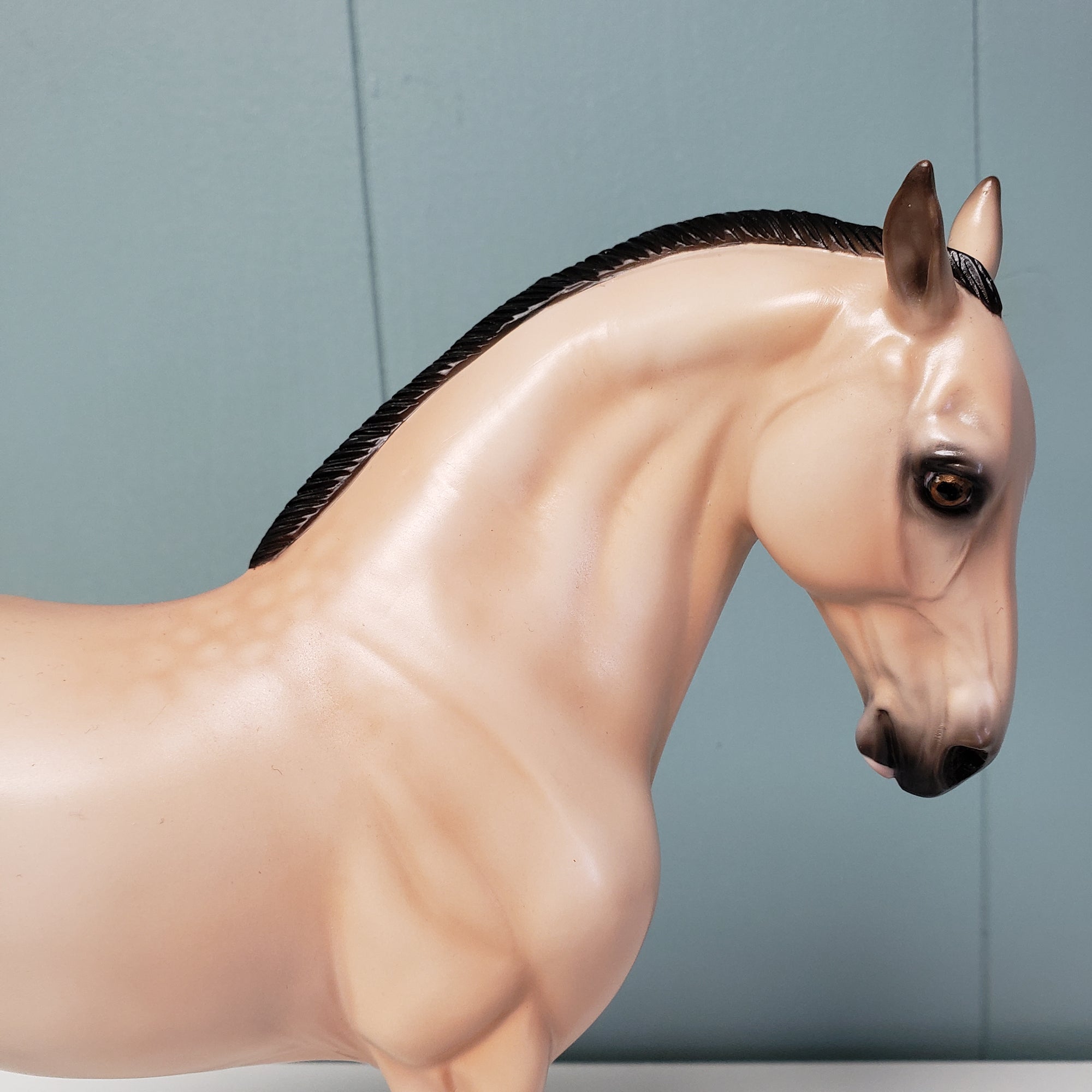 SAMPLE Metanoia Custom Dappled Buckskin Andalusian Mare By Ashley Palmer SS1024