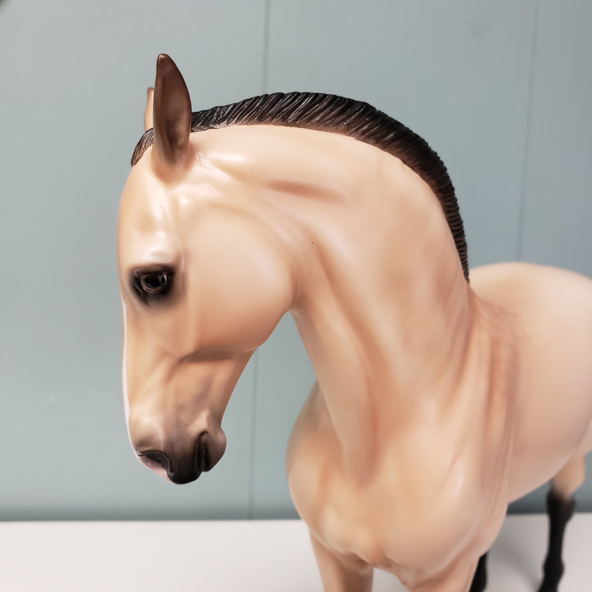 SAMPLE Metanoia Custom Dappled Buckskin Andalusian Mare By Ashley Palmer SS1024