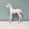 SAMPLE Nea Imera Cremello Arab Foal Customized to Andalusian Foal By Ashley Palmer SS1024