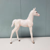 SAMPLE Nea Imera Cremello Arab Foal Customized to Andalusian Foal By Ashley Palmer SS1024