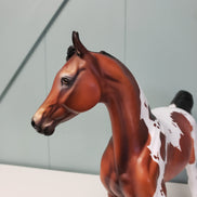 Donation to Happy Kamper Show Tracy Anne LE-15 Run Bay Tobiano with Cat Tracks Custom Arab Mare By Julie Keim