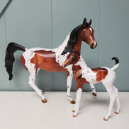 Donation to Happy Kamper Show Tracy Anne LE-15 Run Bay Tobiano with Cat Tracks Custom Arab Mare By Julie Keim