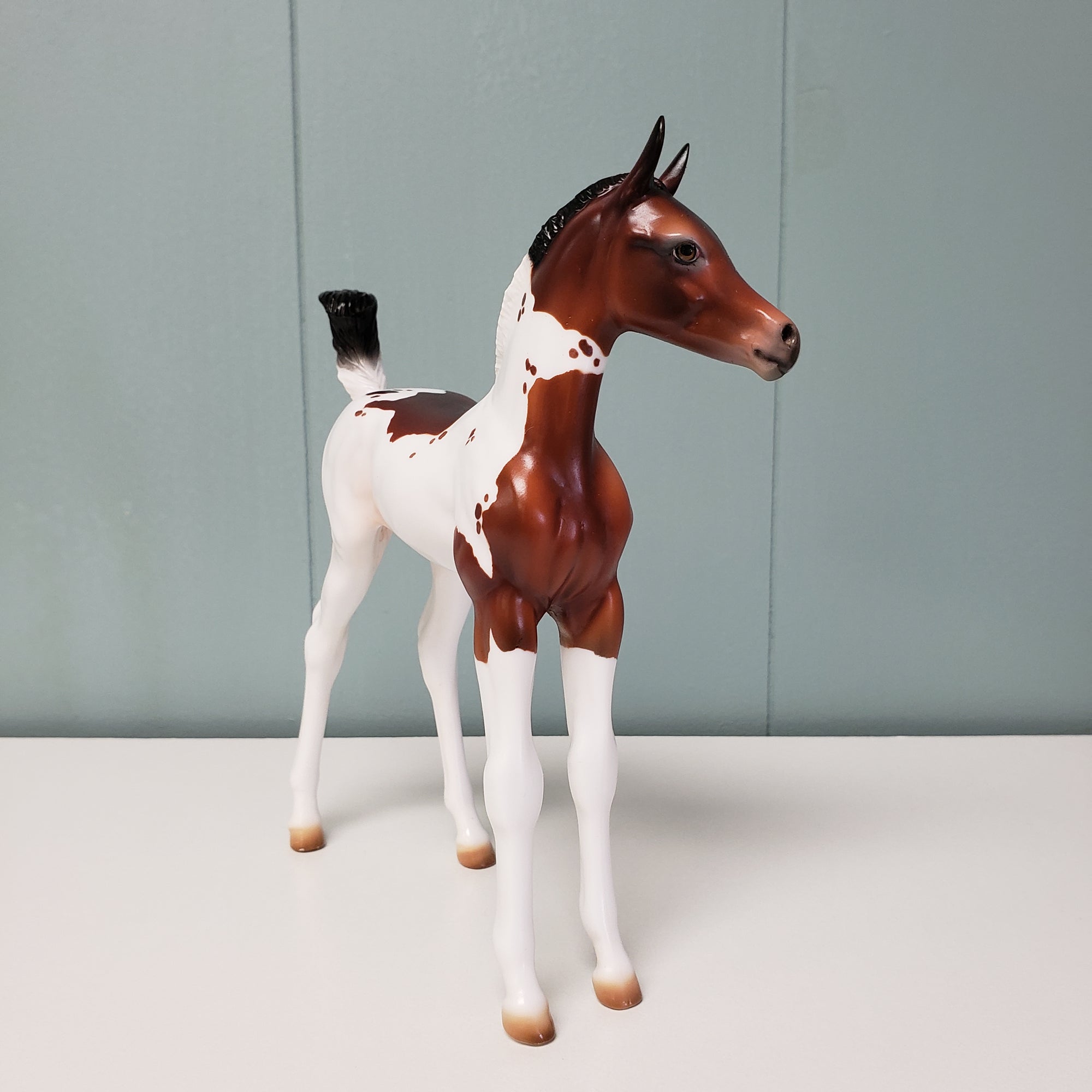 Flora LE-15 Run Bay Tobiano with Cat Tracks Custom Arab Foal By Julie Keim - SHCF24