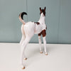 Flora LE-15 Run Bay Tobiano with Cat Tracks Custom Arab Foal By Julie Keim - SHCF24