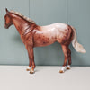 Virginia LE-20 Run Appaloosa Custom ISH Mare By Julie Keim - SHCF24