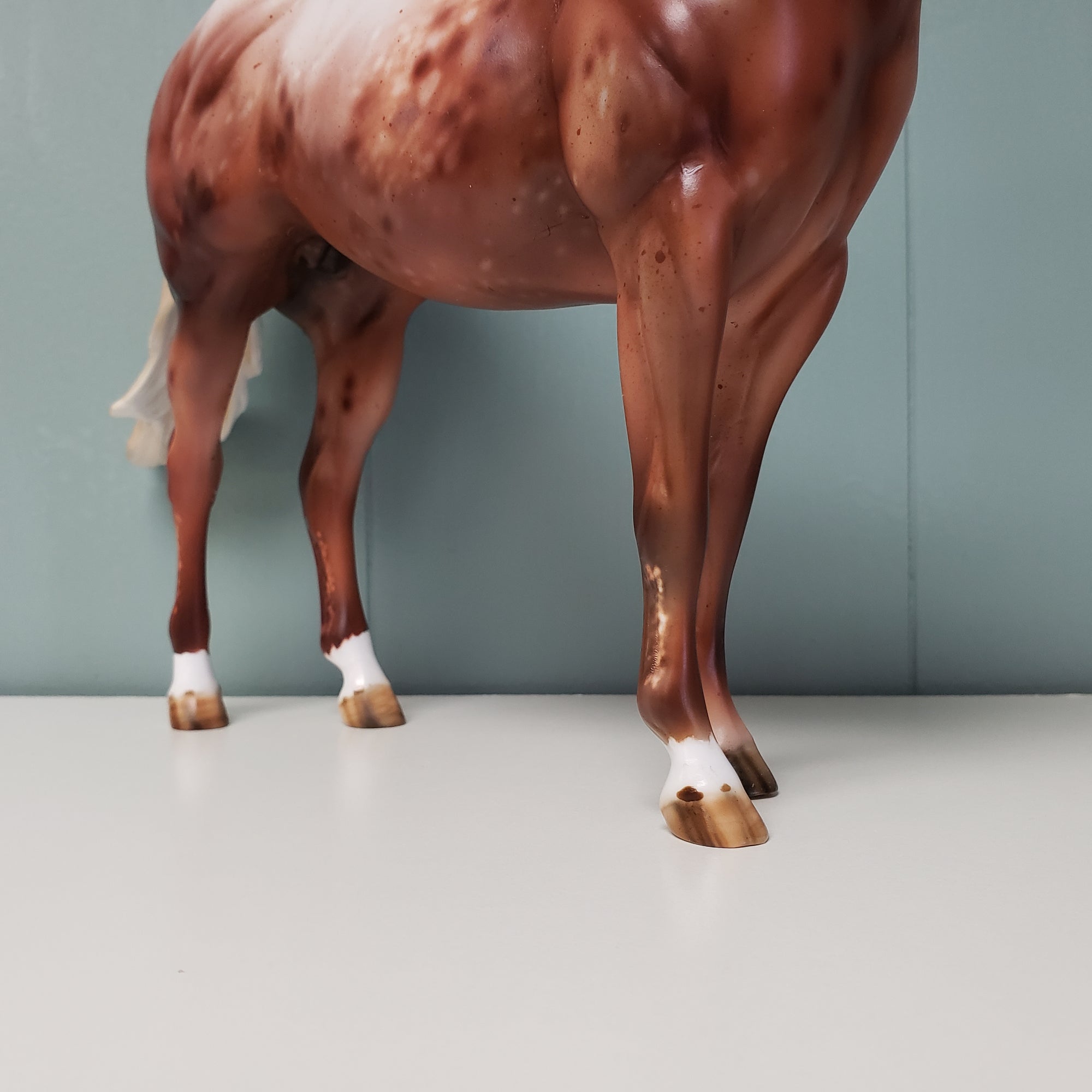 Virginia LE-20 Run Appaloosa Custom ISH Mare By Julie Keim - SHCF24