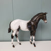 Renn LE-20 Run Black Appaloosa Custom Weanling By Julie Keim - SHCF24