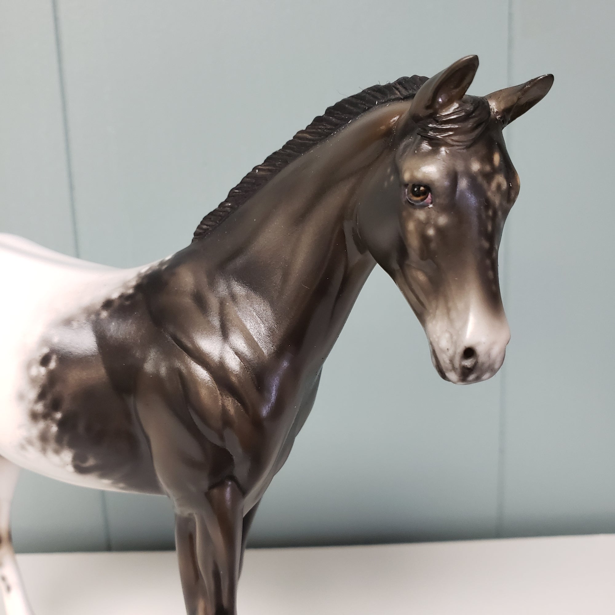 Renn LE-20 Run Black Appaloosa Custom Weanling By Julie Keim - SHCF24