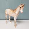 Congratulations: One LE-10 PRIZE MODEL Run Gold Weanling Unicorn with Dun Factors Deco By Jess Hamill - SHCF24