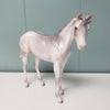 Gratitude:One LE-10 JUDGES MODEL Run Silver Deco Weanling Unicorn with Dun Factors  By Jess Hamill - SHCF24