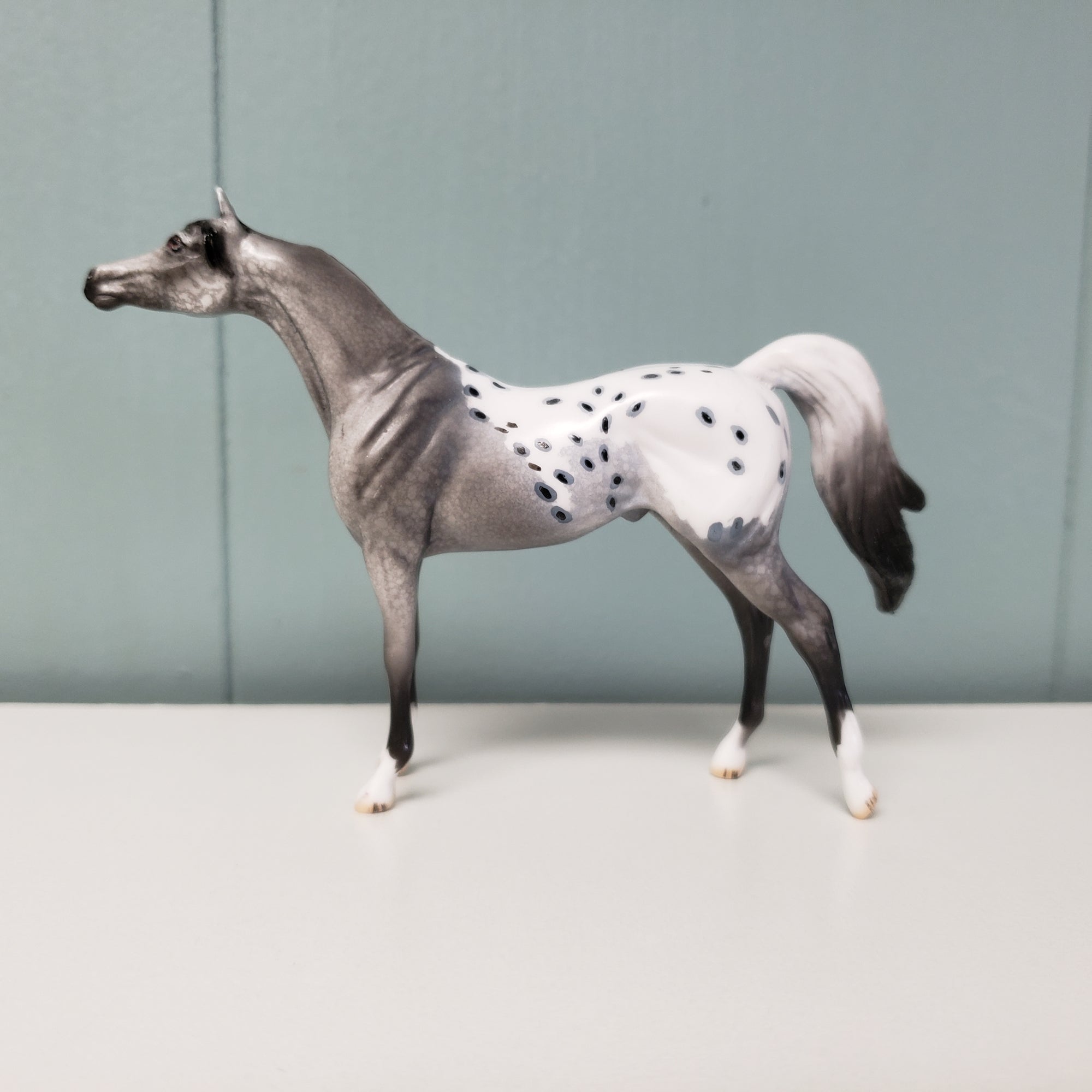 Marriott OOAK Appaloosa Arabian Chip by Dawn Quick  - SHCF24